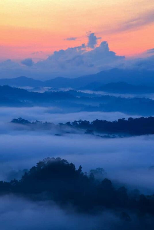 Lahad Datu: Danum Valley 3-Day Jungle Adventure with Guide - Practical Aspects and Value