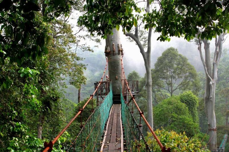 Lahad Datu: Danum Valley 3-Day Jungle Adventure with Guide - FAQ