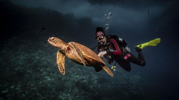 Lahaina: Discover Scuba Diving Class - Activity Details and Highlights