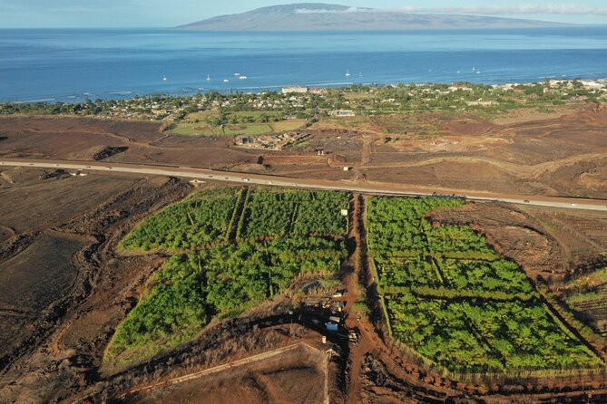 Lahaina: Maui Kuia Estate Guided Cacao Farm Tour and Tasting - Positive Customer Experiences