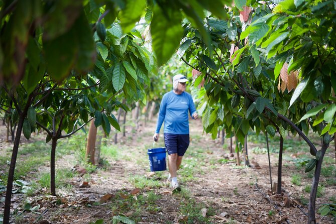 Lahaina: Maui Kuia Estate Guided Cacao Farm Tour and Tasting - Negative Customer Experiences