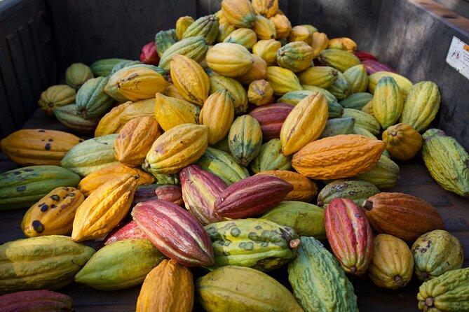 Lahaina: Maui Kuia Estate Guided Cacao Farm Tour and Tasting - Additional Information