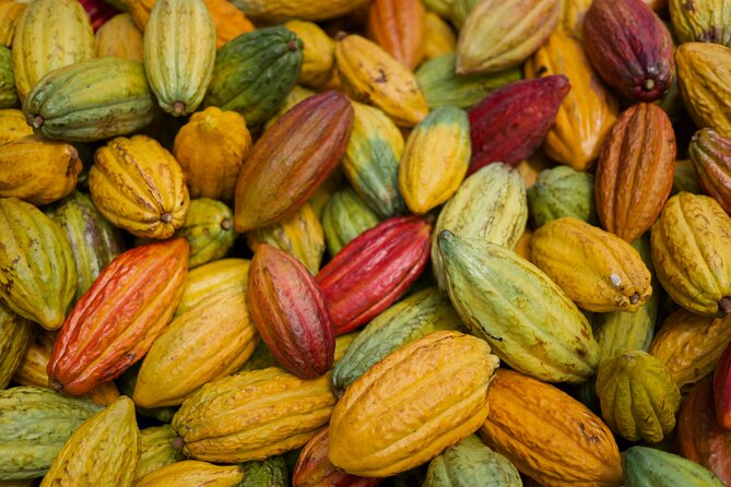 Lahaina: Maui Kuia Estate Guided Cacao Farm Tour and Tasting - Pricing and Terms
