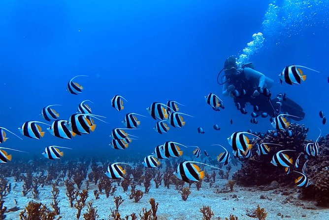 Lahaina Private Charter for Maui and Lanai - Cancellation and Refund Policy