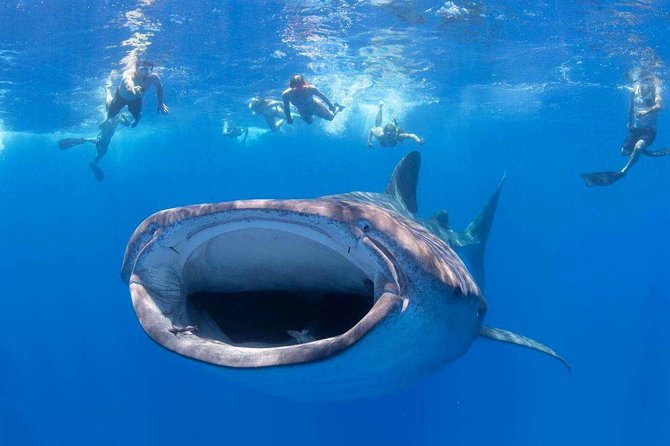 Lahaina Private Charter for Maui and Lanai - Directions