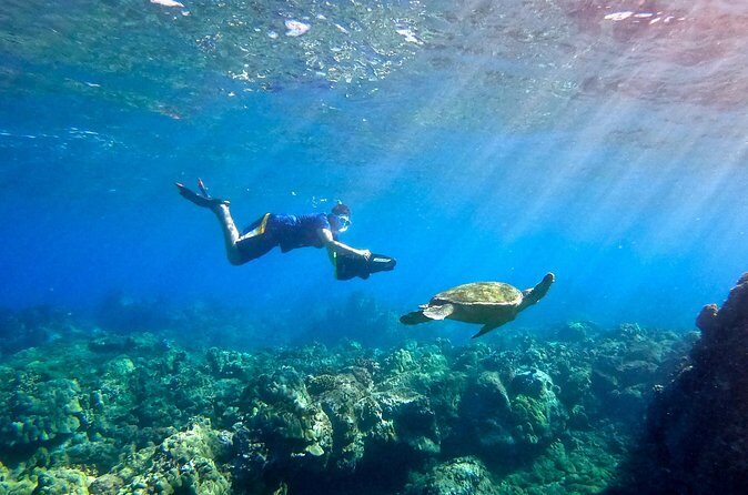 Lahaina Small Group Snorkeling Adventure - Who Should Consider This Tour?
