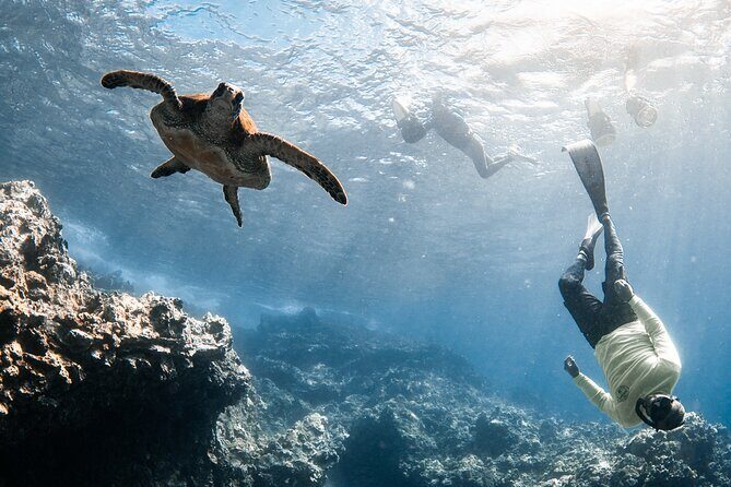 Lahaina Small Group Snorkeling Adventure - The Sum Up