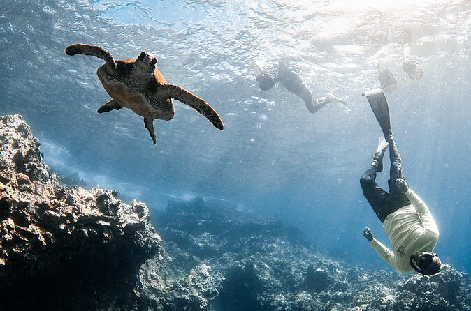 Lahaina Small Group Snorkeling Adventure - FAQ