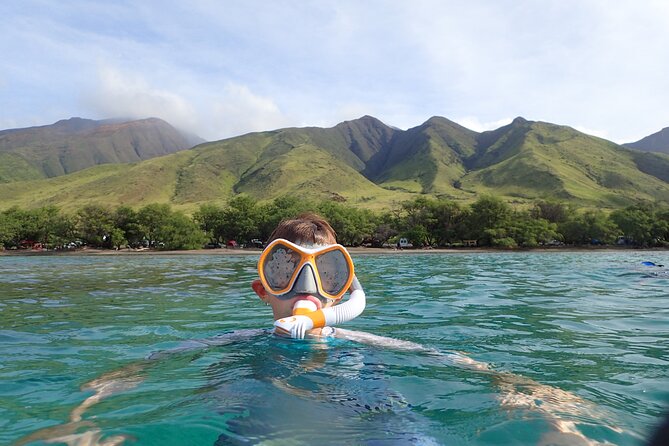 Lahaina Small-Group Snorkeling Tour (Feb ) - Tour Highlights