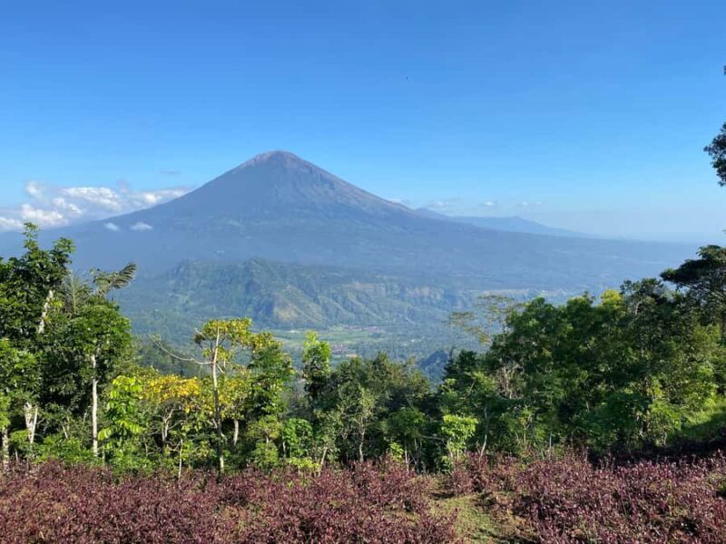 Lahangan Sweet, Tirta Gangga & Virgin Beach - FAQ