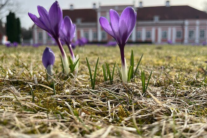 Lahemaa national park in Estonia - The Journey Begins: From Tallinn to Lahemaa