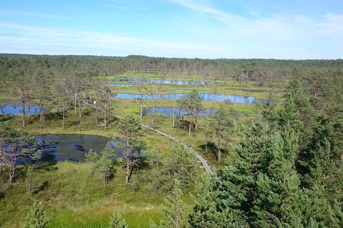 Lahemaa National Park in Estonia - Hassle-Free Transfers