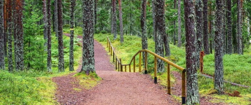 Lahemaa: VIP Tour to Estonias Oldest National Park - Who Is This Tour Best For?