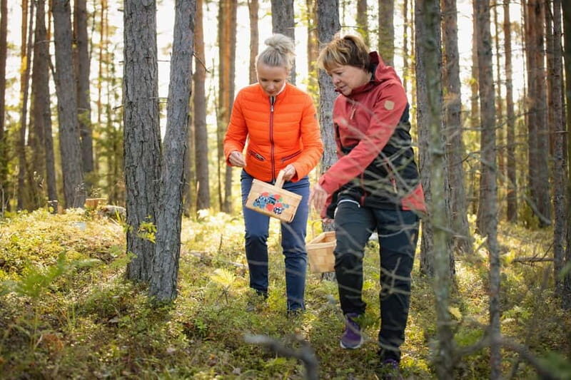 Lahti: Wild Food Foraging Tour with Tastings - Discovering Finnish Nature Through Wild Food Foraging in Lahti