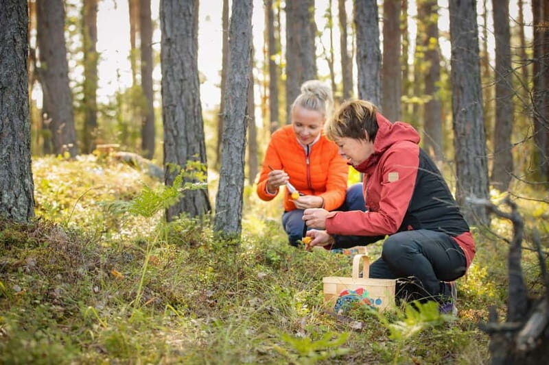 Lahti: Wild Food Foraging Tour with Tastings - Who Will Love This Tour?