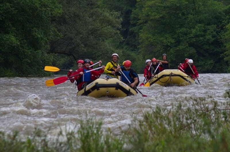 Lakatnik: Rafting on Iskar River - Pricing and Value