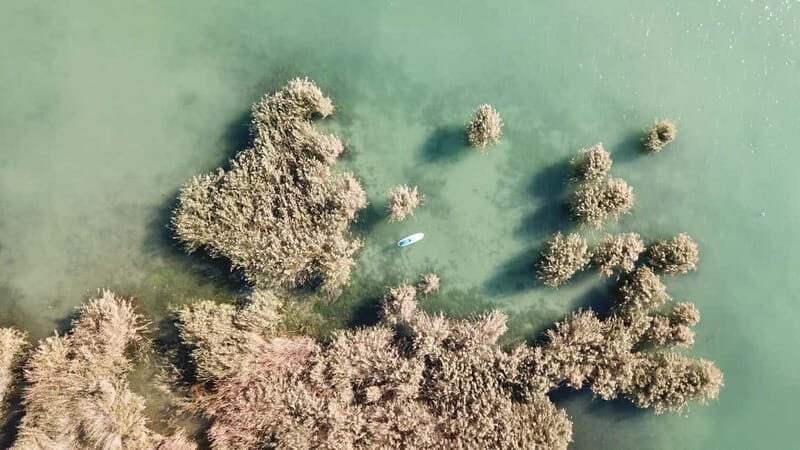 Lake Balaton 3 hour SUP tour - self-guided - Price and Value