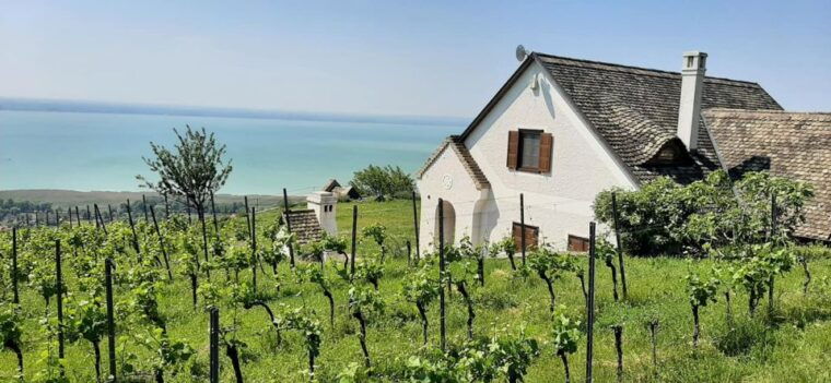 Lake Balaton Full-Day Tour from Budapest - The Value of This Tour