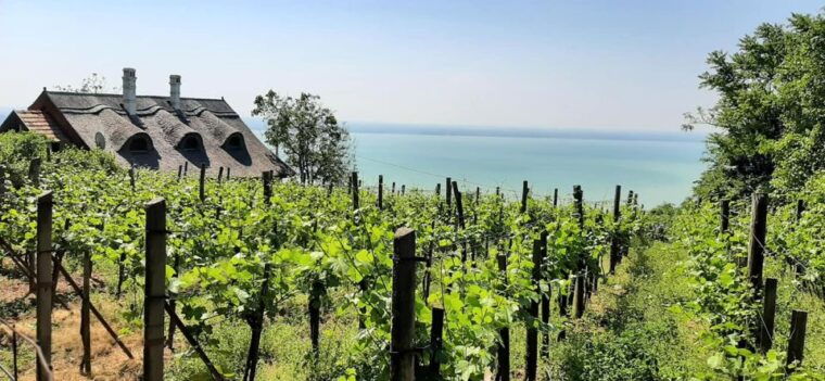 Lake Balaton Full-Day Tour from Budapest - Who Should Consider This Tour