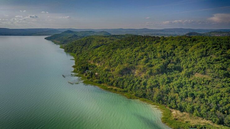 Lake Balaton: Paddle Board Tour of Tihany National Park - Booking Details