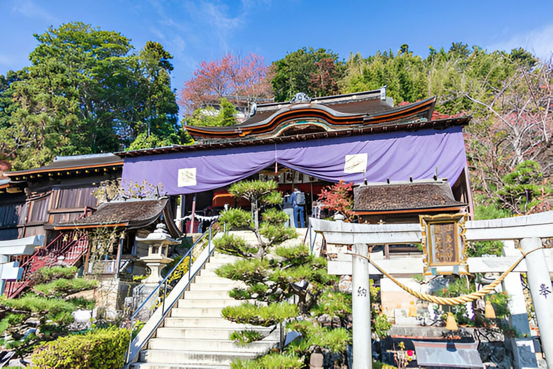 Lake Biwa Customizable One Day Charter Car Trip from Kyoto/Osaka - What the driver adds, and what the tour does not