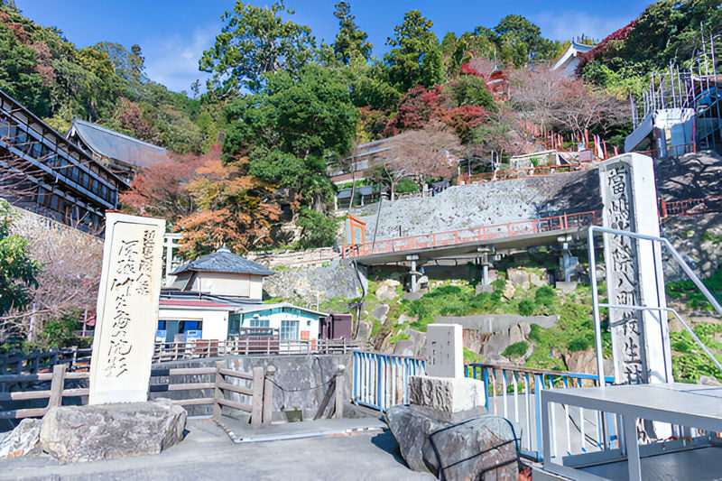 Lake Biwa Customizable One Day Charter Car Trip from Kyoto/Osaka - Is $504.69 good value?