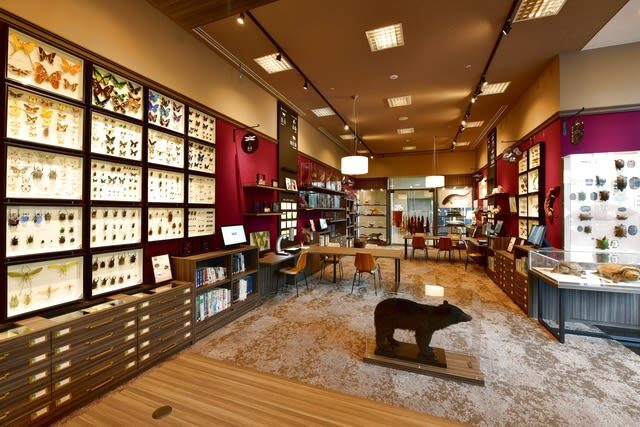 Lake Biwa Museum Adimission in Shiga - Try the Discovery and Exploration room