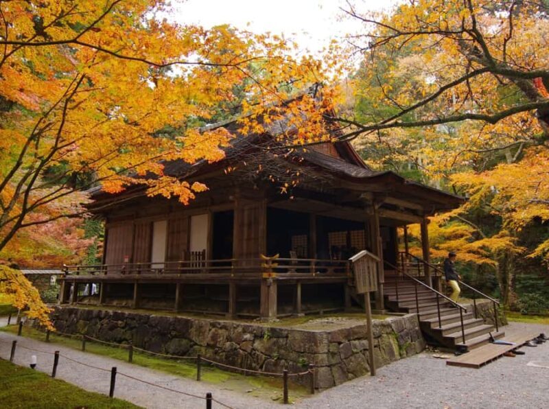 Lake Biwa & Omi Hachiman Day Tour from Osaka or Kyoto - A Detailed Look at the Tour Experience
