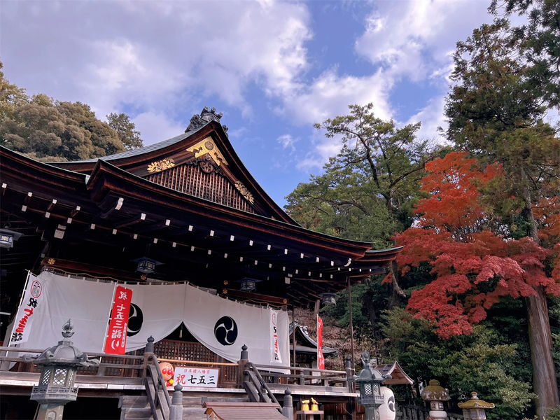 Lake Biwa Secret Scenery Pilgrimage Day Trip | Shirazu Shrine, Observation Deck/Sanzen-in Temple, Floating Temple, La Collina - La Collina’s grass roofs and baked sweets