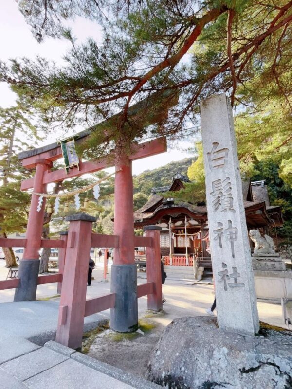 Lake Biwa Secret Scenery Pilgrimage Day Trip | Shirazu Shrine, Observation Deck/Sanzen-in Temple, Floating Temple, La Collina - What the price includes, and what it does not