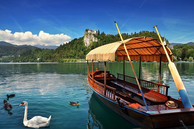 Lake Bled All inclusive tour from Ljubljana - The Highlights: What You Will Love