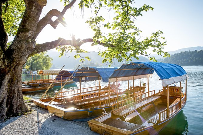 Lake Bled - an Alpine Pearl From Ljubljana - Pricing and Reviews
