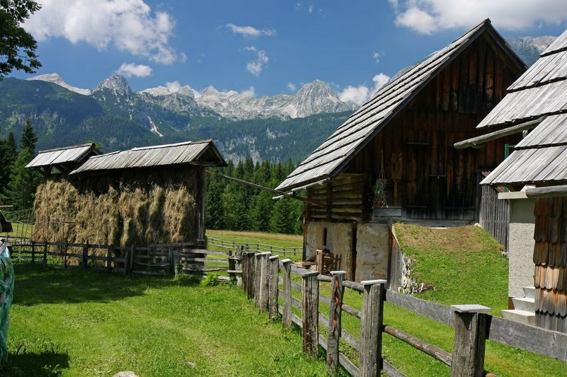 Lake Bled and Triglav National Park: A Day Trip from Ljubljana - Zelenci: a green spring at the Sava’s source