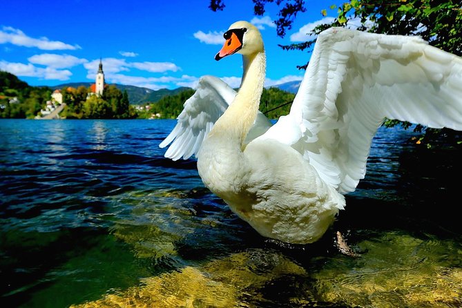 Lake Bled Half Day Excursion From Ljubljana - Transportation Information