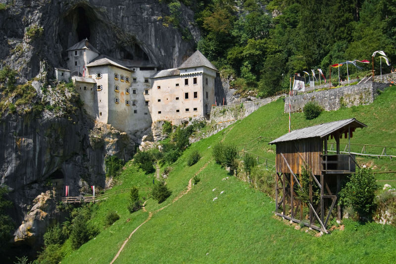 Lake Bled, Postojna Cave and Predjama Castle Day Tour - A small minivan and a guide who does the driving