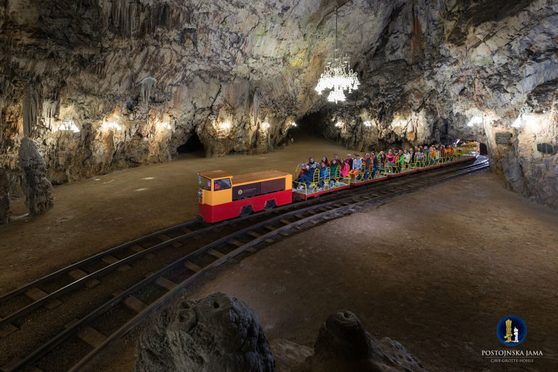 Lake Bled, Postojna Cave and Predjama Castle Day Tour - Who should book this day trip?