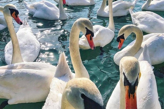 Lake Bled Tour From Ljubljana - Tour Itinerary