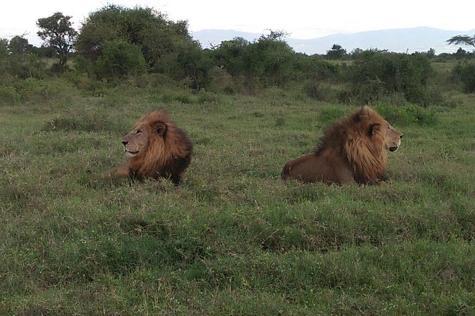 Lake Bogoria Flamingos Tour From Nairobi - Booking Details