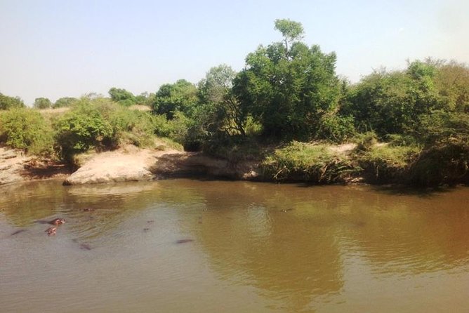 Lake Bogoria Flamingos Tour From Nairobi - Pricing and Cancellation