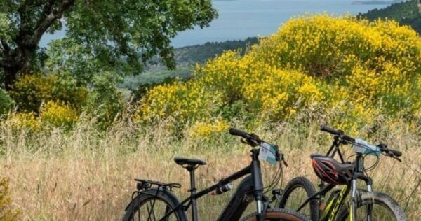 Lake Bolsena and the via Francigena Ebike Tour - Frequently Asked Questions