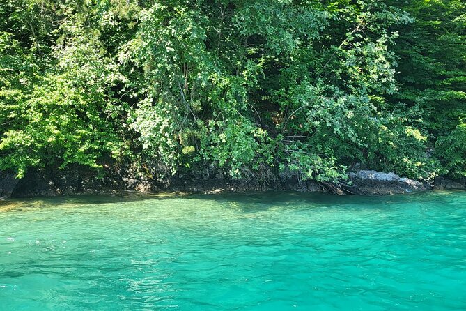 Lake Brienz Boat Tour for a Full Day! - Cancellation Policy
