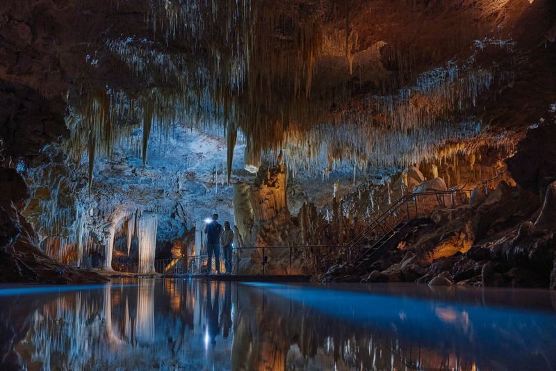 Lake Cave Tour in Margaret River - Lake Cave at a glance