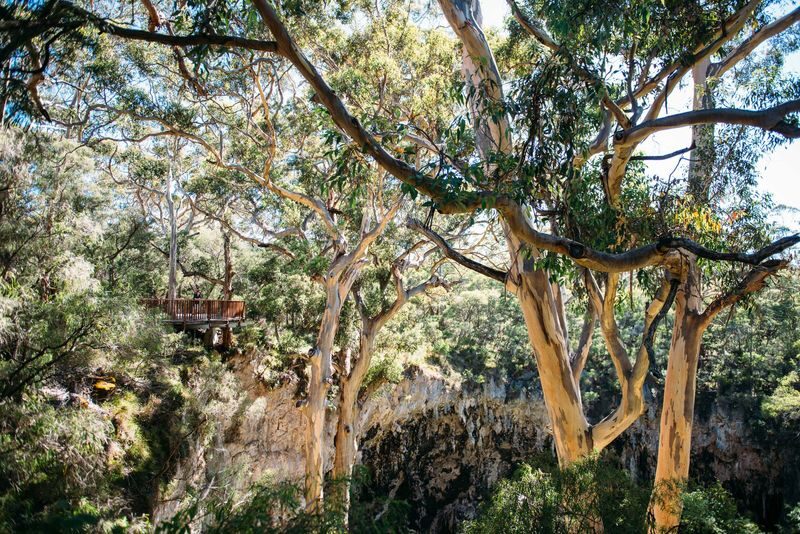 Lake Cave Tour in Margaret River - The Suspended Table and the reflected lake