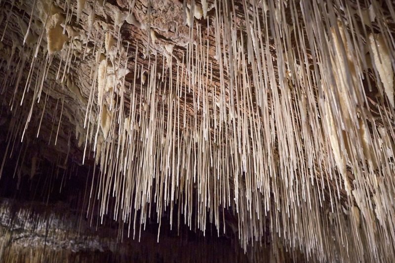 Lake Cave Tour in Margaret River - What the guide adds to the hour