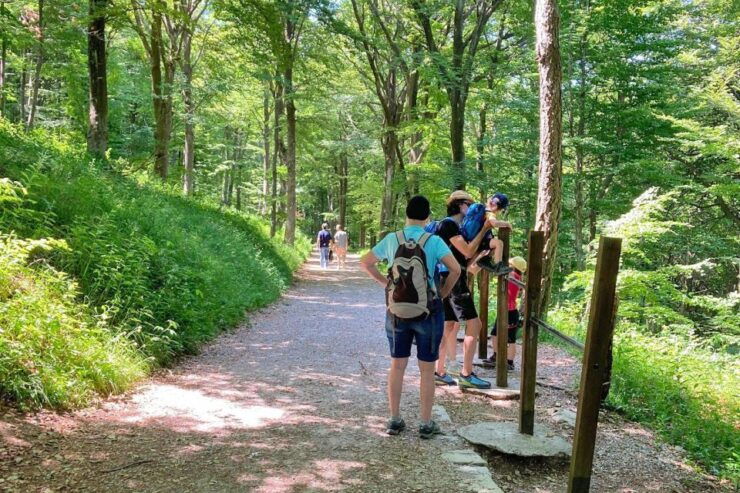 Lake Como: Half-Day Hike in Dolomitic Mountains Over Lecco - Pricing and Duration Details