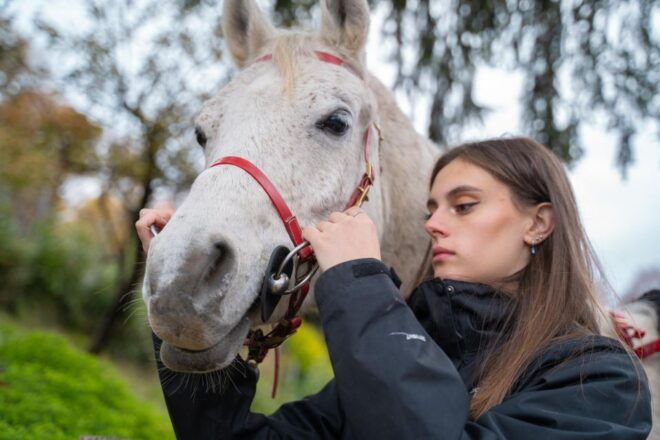 Lake Como: Horseback Adventure & Tasting With Amazing Views - Experience Description