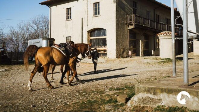 Lake Como: Horseback Adventure & Tasting With Amazing Views - Important Information
