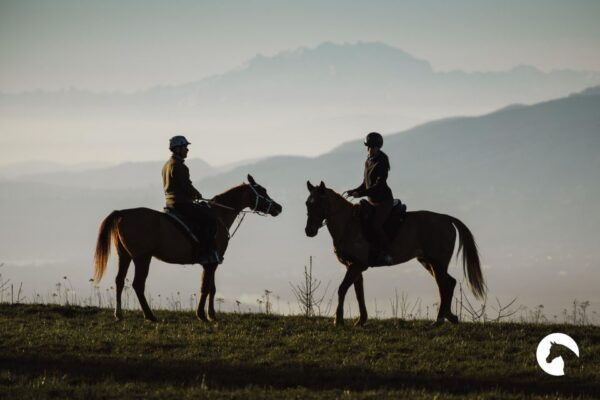 Lake Como: Horseback Adventure & Tasting With Amazing Views - Frequently Asked Questions