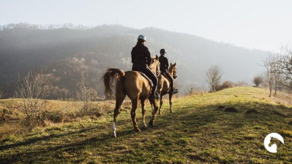 Lake Como: Horseback Adventure & Tasting With Amazing Views - The Sum Up
