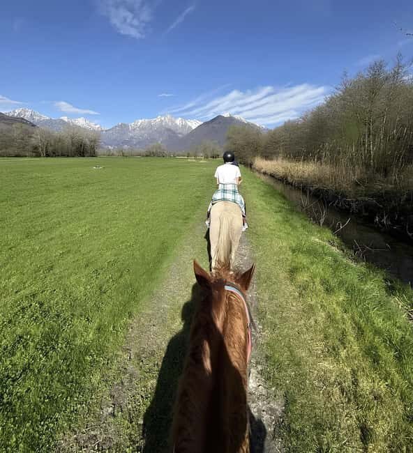Lake Como: Horseback Riding Tour from Colico - What Makes This Experience Stand Out